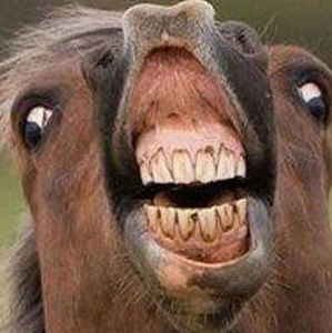 Meet your Posher, Sean